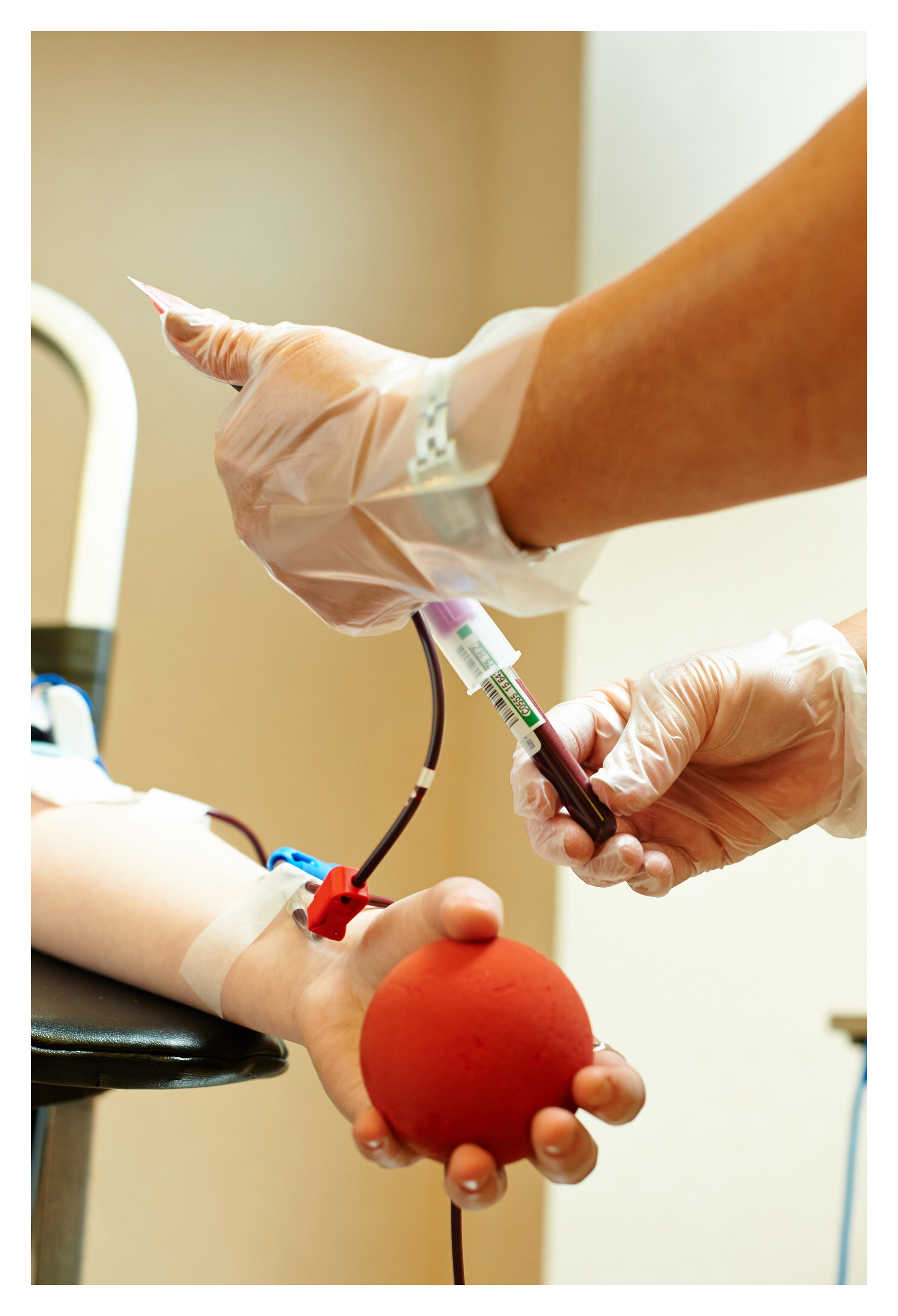 Don de sang pour la recherche au netCAD