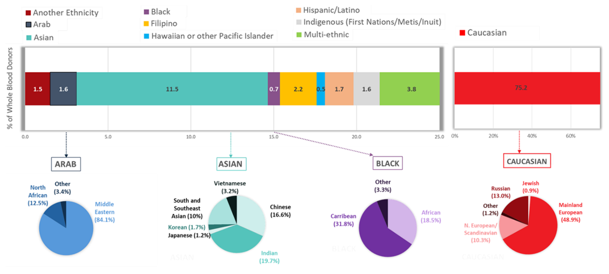 percentage of whole blood donors based on ethic groups
