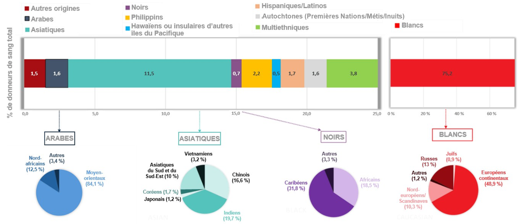 percentage of whole blood donors based on ethic groups