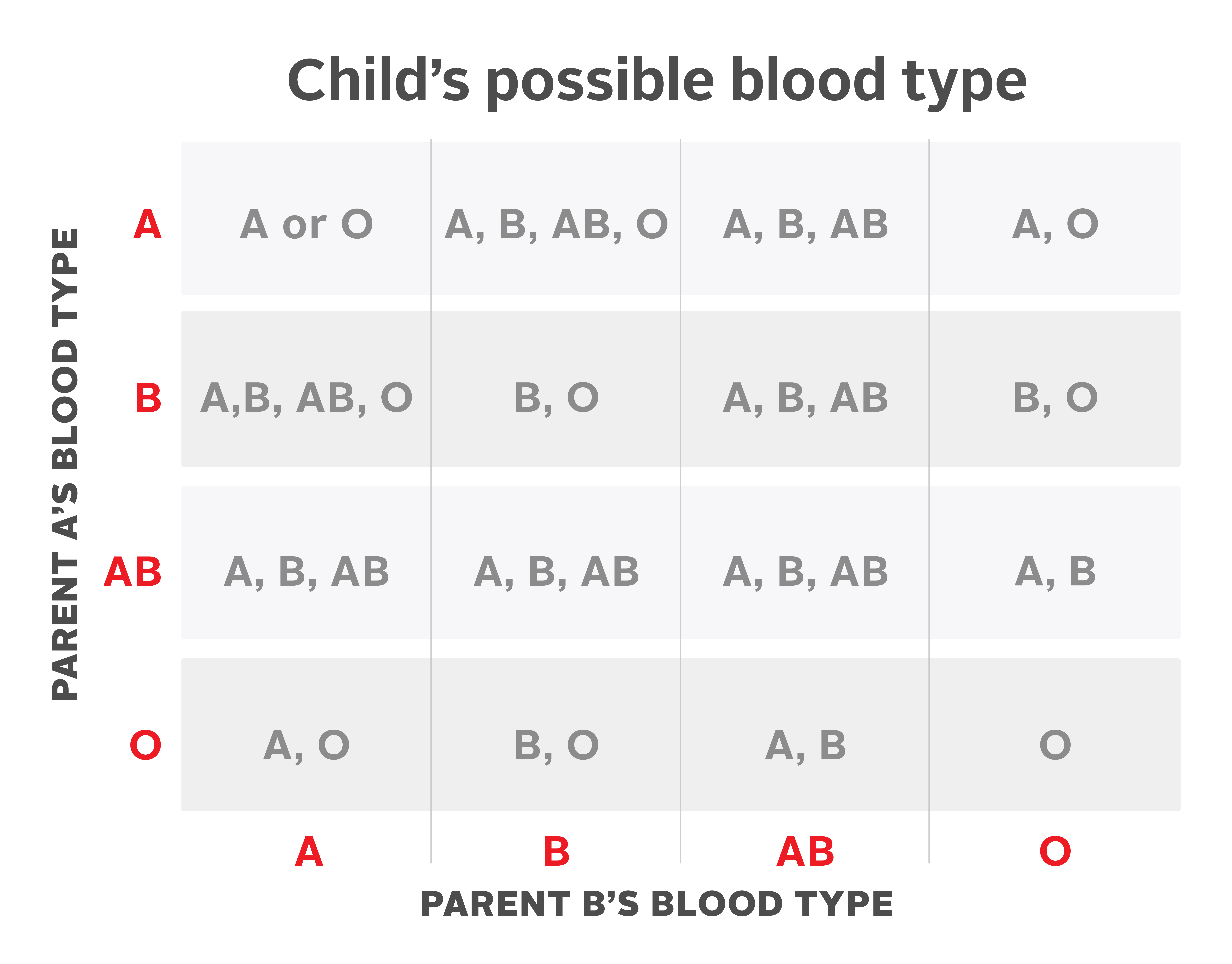 Child's possible blood type