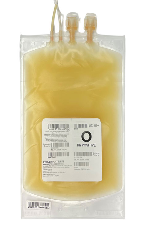 Yellow platelet bag