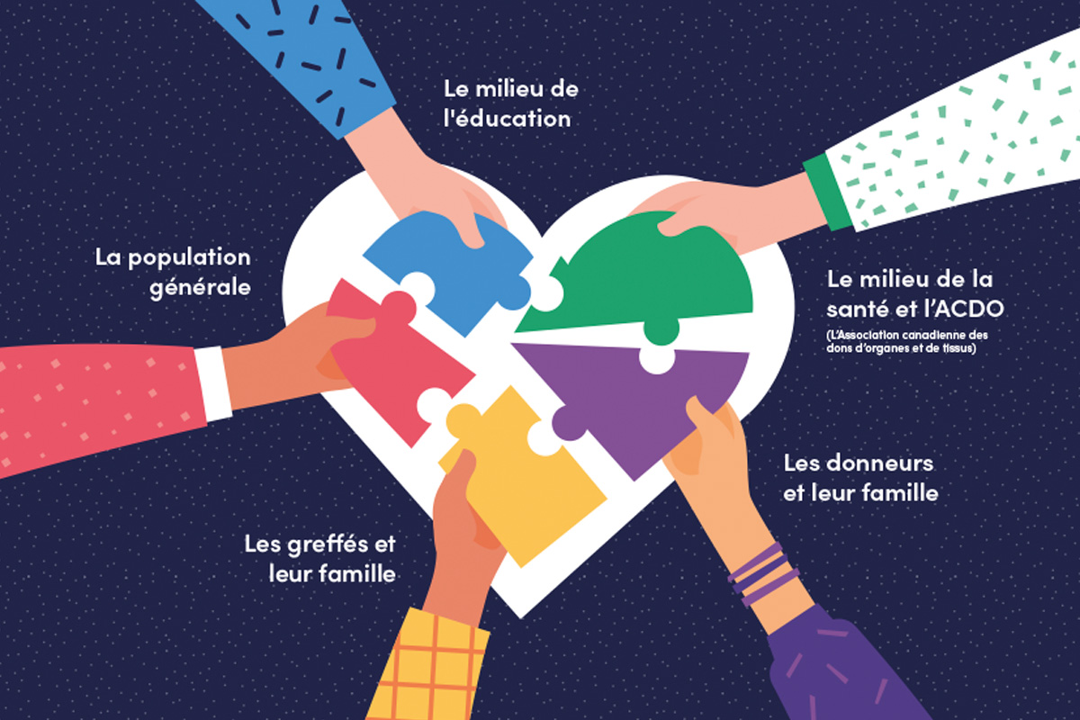 Graphique illustrant les maillons clés de Chaîne de vie