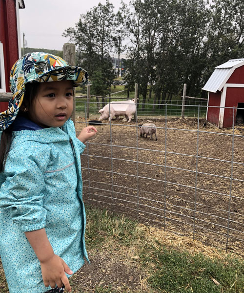 Petite fille debout à l’extérieur d’un enclos de ferme avec deux cochons au lointain.