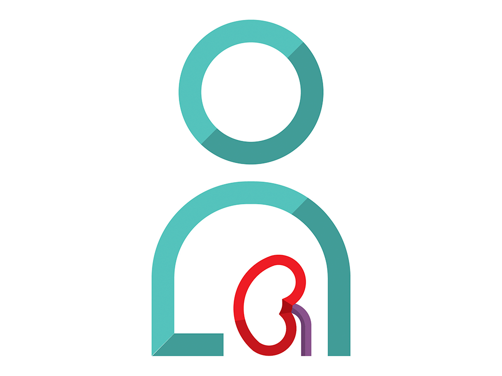 organ icon