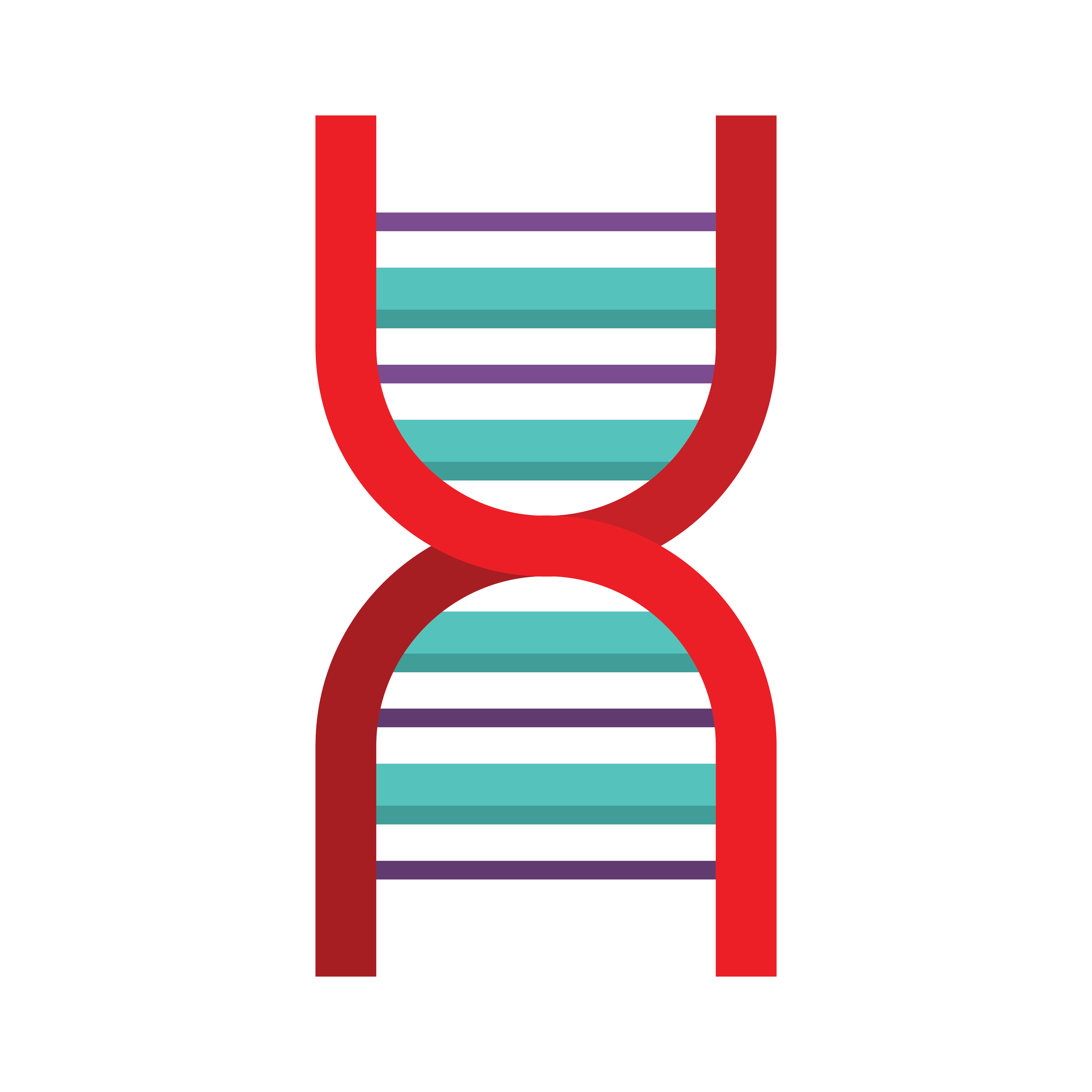 line drawing of DNA