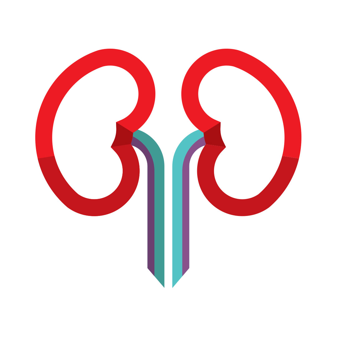 Icon kidneys