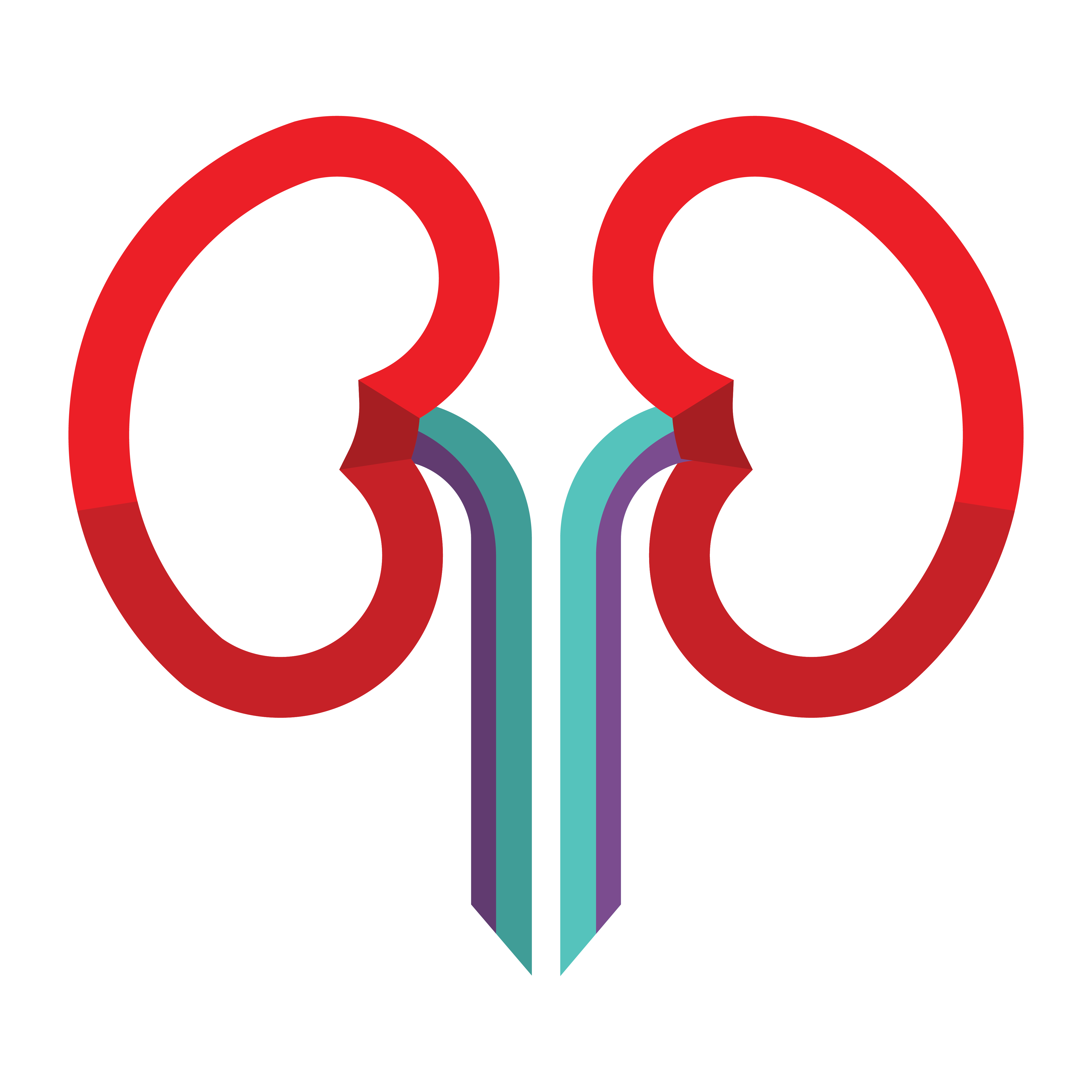 kidney icon