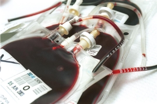 Blood Collection Bag