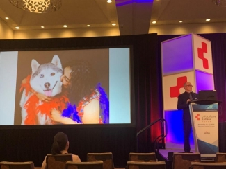 Randall Tressider presents at Canadian Critical Care Forum in 2019, alongside a photo of his deceased wife Shelly Sarwal