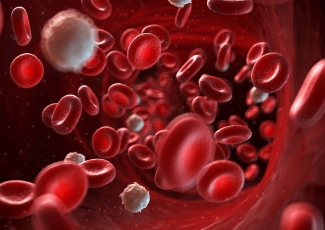 blood
