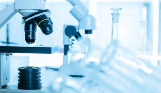 lab work