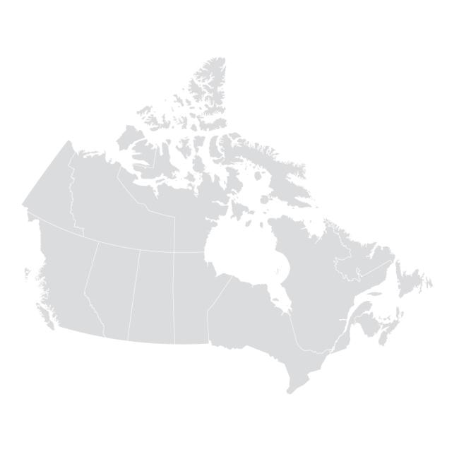 Graphic image of an abstract map of canada in grey