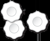 White Blood Cells White Blood Cells